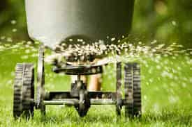 Lawn Fertilization image