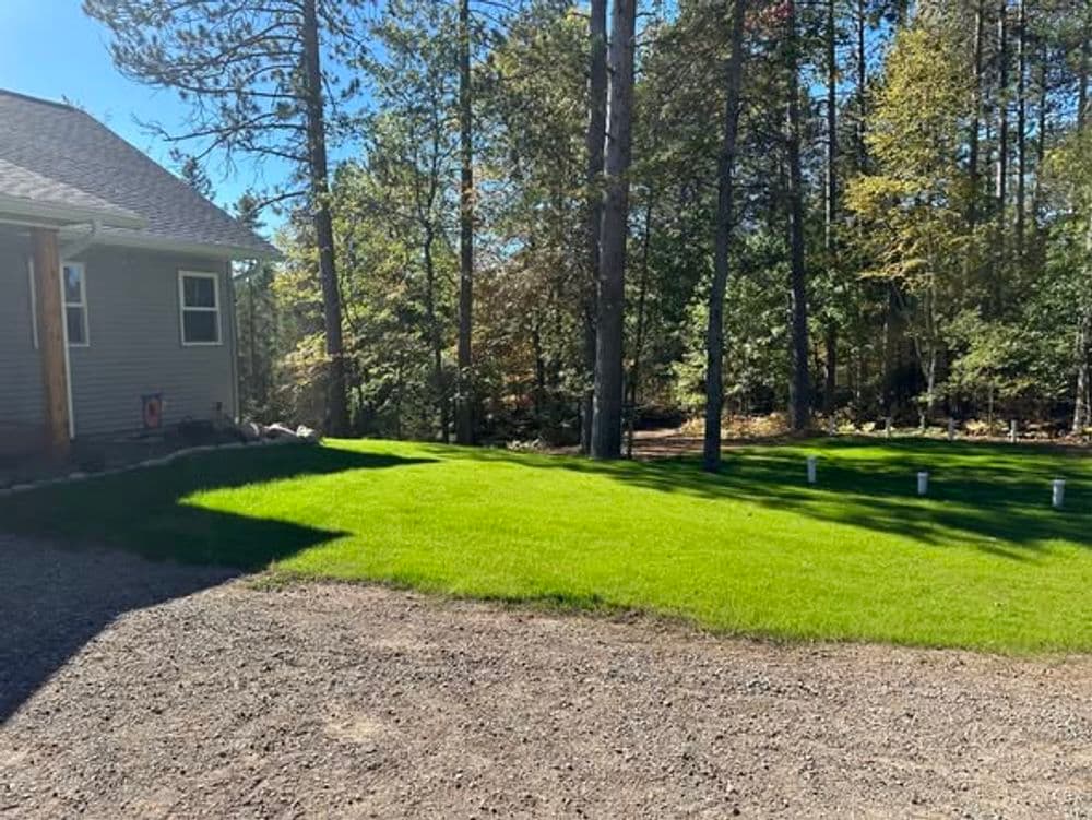 Project Hydroseeding Success in Minocqua WI  image