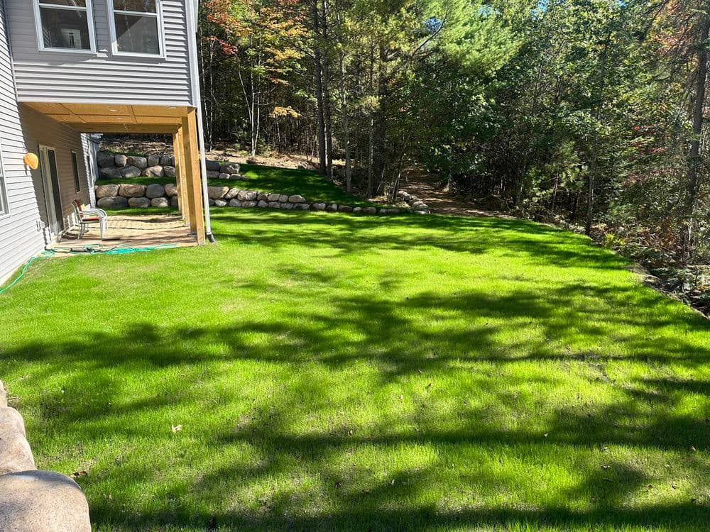 Gallery photos for Hydroseeding Success in Minocqua WI : Image #14