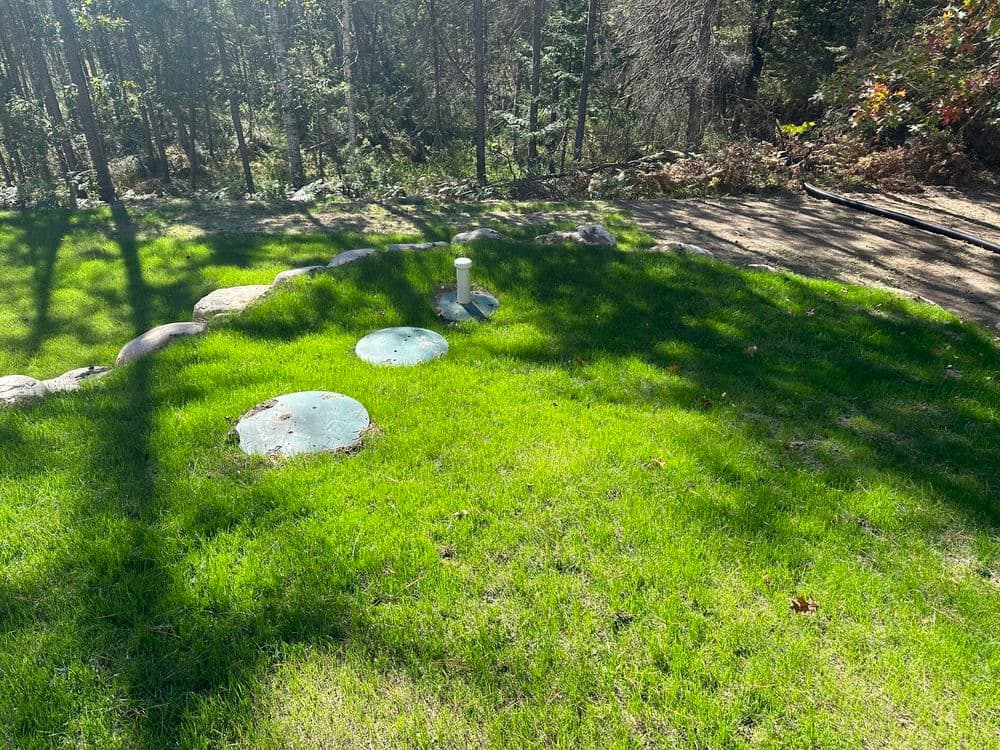 Gallery photos for Hydroseeding Success in Minocqua WI : Image #6