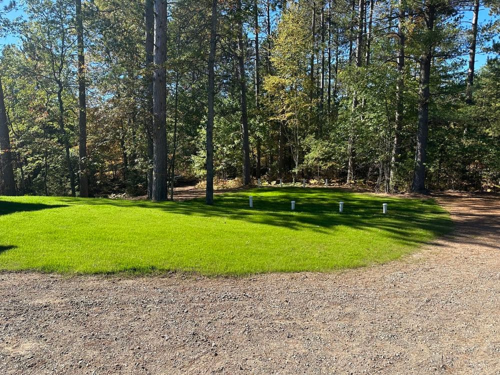 Gallery photos for Hydroseeding Success in Minocqua WI : Image #17